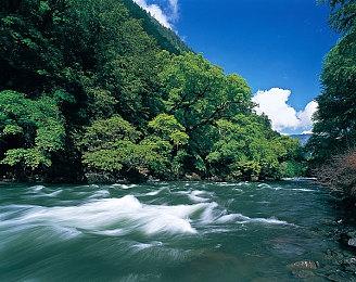 传育碧对《渡神纪》表现感到满意 正在开发续作